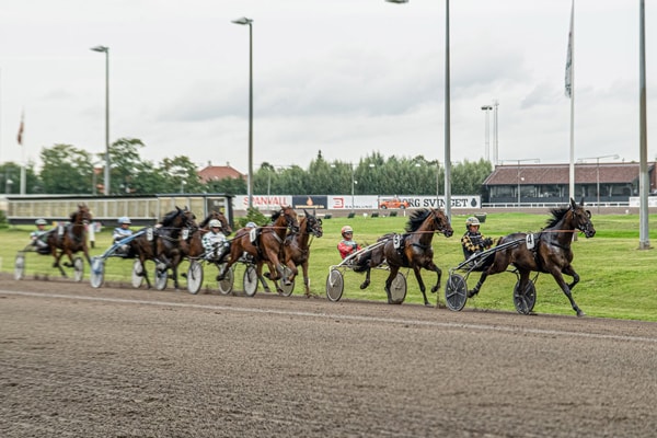 GF Tele-IT til arrangement på Charlottenlund Travbane | GF Forsikring